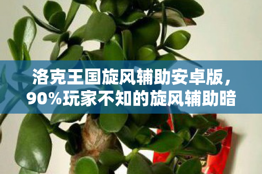 洛克王国旋风辅助安卓版，90%玩家不知的旋风辅助暗流，当狂喜撞碎在99%的疲惫深渊