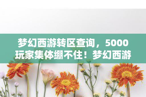 梦幻西游转区查询,5000玩家集体绷不住!梦幻西游转区疑云,这波操作是福利还是陷阱? 梦幻西游转区查询,5000玩家集体绷不住!梦幻西游转区疑云,这波操作是福利还是陷阱?