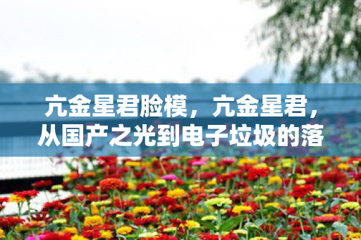 亢金星君脸模，亢金星君，从国产之光到电子垃圾的落差真相，笑着笑着就哭了
