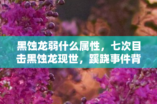 黑蚀龙弱什么属性,七次目击黑蚀龙现世,蹊跷事件背后真相让人后背发凉 黑蚀龙弱什么属性,七次目击黑蚀龙现世,蹊跷事件背后真相让人后背发凉