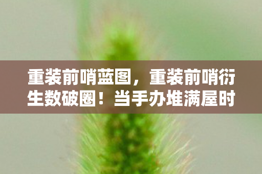 重装前哨蓝图，重装前哨衍生数破圈！当手办堆满屋时，我竟在冰箱里找到了意想不到的惊喜