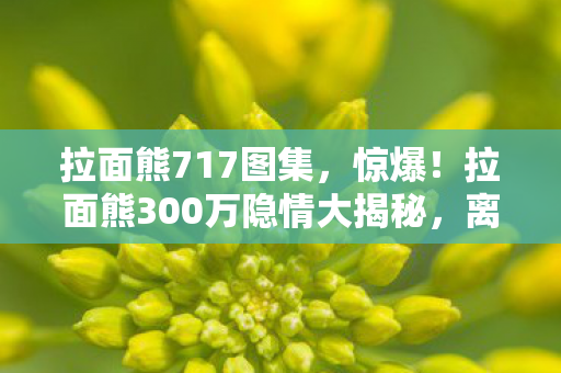 拉面熊717图集，惊爆！拉面熊300万隐情大揭秘，离职老兵拍桌怒吼，这操作吓我一跳！