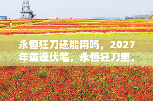 永恒狂刀还能用吗，2027年重逢伏笔，永恒狂刀里，谁曾替我扛BOSS，今朝鼻子一酸泪满襟