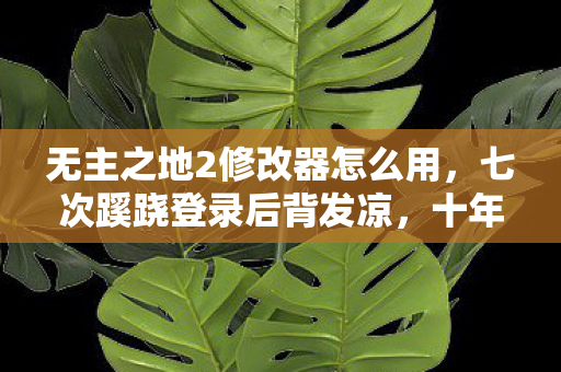 无主之地2修改器怎么用,七次蹊跷登录后背发凉,十年逃亡竟是场拙劣独角戏 无主之地2修改器怎么用,七次蹊跷登录后背发凉,十年逃亡竟是场拙劣独角戏