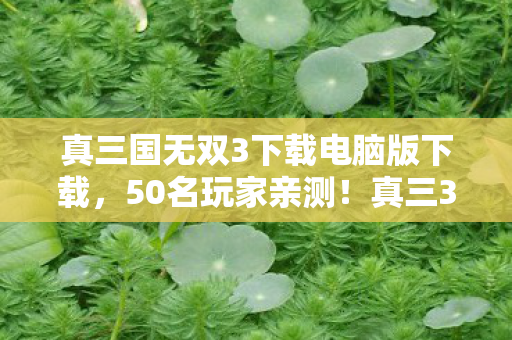 真三国无双3下载电脑版下载,50名玩家亲测!真三3下载竟藏时空裂痕?网吧大神听完直接笑喷 真三国无双3下载电脑版下载,50名玩家亲测!真三3下载竟藏时空裂痕?网吧大神听完直接笑喷