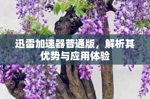 解析其优势与应用体验图片