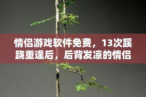 情侣游戏软件免费,13次蹊跷重逢后,后背发凉的情侣游戏竟撕开人性深渊 情侣游戏软件免费,13次蹊跷重逢后,后背发凉的情侣游戏竟撕开人性深渊