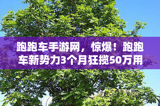 跑跑车手游网,惊爆!跑跑车新势力3个月狂揽50万用户,背后藏着什么秘密? 跑跑车手游网,惊爆!跑跑车新势力3个月狂揽50万用户,背后藏着什么秘密?