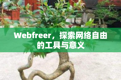 探索网络自由的工具与意义图片