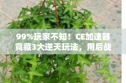 99%玩家不知!CE加速器竟藏3大逆天玩法,用后战力飙升300%! 99%玩家不知!CE加速器竟藏3大逆天玩法,用后战力飙升300%!