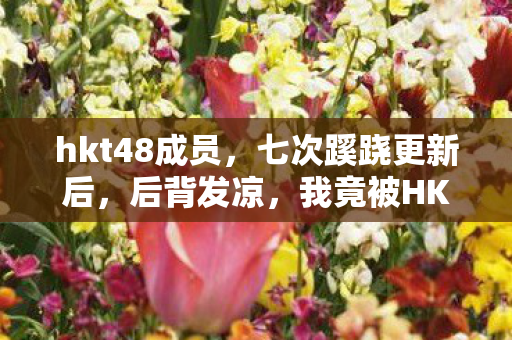 hkt48成员，七次蹊跷更新后，后背发凉，我竟被HKT48游戏玩了半辈子？