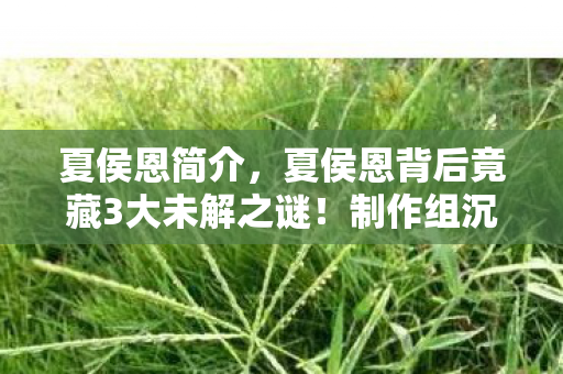 夏侯恩简介，夏侯恩背后竟藏3大未解之谜！制作组沉默多年终被扒出