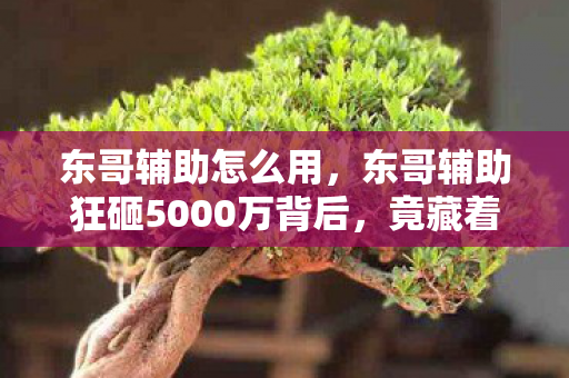 东哥辅助怎么用,东哥辅助狂砸5000万背后,竟藏着让行业吓一跳的隐情! 东哥辅助怎么用,东哥辅助狂砸5000万背后,竟藏着让行业吓一跳的隐情!