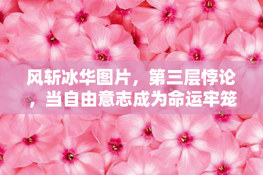 风斩冰华图片,第三层悖论,当自由意志成为命运牢笼,你的选择震颤灵魂了吗? 风斩冰华图片,第三层悖论,当自由意志成为命运牢笼,你的选择震颤灵魂了吗?