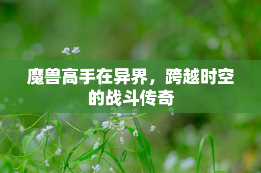 跨越时空的战斗传奇图片