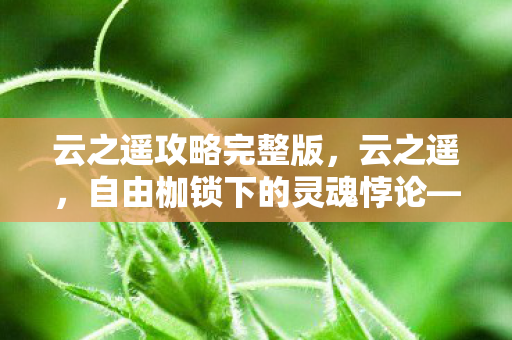云之遥攻略完整版，云之遥，自由枷锁下的灵魂悖论——当抽卡成为存在主义的终极审判