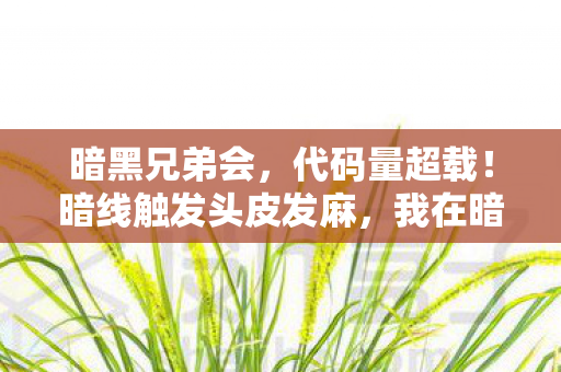 暗黑兄弟会,代码量超载!暗线触发头皮发麻,我在暗黑兄弟会当数字原住民的2027 暗黑兄弟会,代码量超载!暗线触发头皮发麻,我在暗黑兄弟会当数字原住民的2027