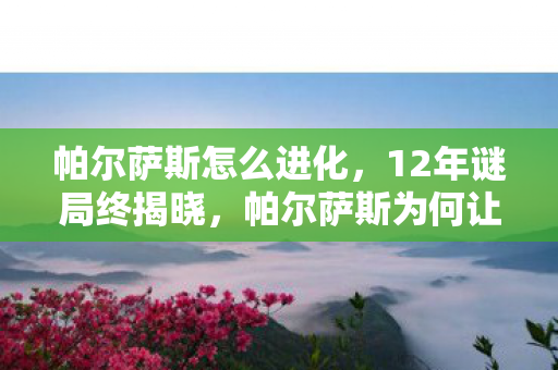 帕尔萨斯怎么进化,12年谜局终揭晓,帕尔萨斯为何让百万玩家泪目? 帕尔萨斯怎么进化,12年谜局终揭晓,帕尔萨斯为何让百万玩家泪目?