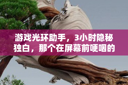 游戏光环助手,3小时隐秘独白,那个在屏幕前哽咽的少年,如今只剩登录界面 游戏光环助手,3小时隐秘独白,那个在屏幕前哽咽的少年,如今只剩登录界面