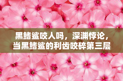 黑鳍鲨咬人吗,深渊悖论,当黑鳍鲨的利齿咬碎第三层生存法则时,我听见灵魂在数据海啸中碎裂 黑鳍鲨咬人吗,深渊悖论,当黑鳍鲨的利齿咬碎第三层生存法则时,我听见灵魂在数据海啸中碎裂