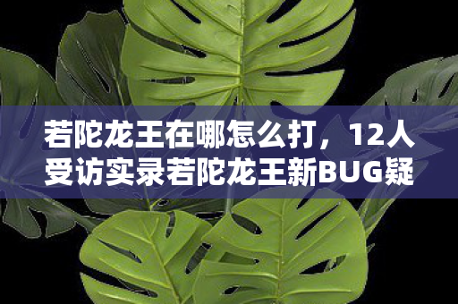 若陀龙王在哪怎么打,12人受访实录若陀龙王新BUG疑点重重,网吧老炮,这波我直接绷不住! 若陀龙王在哪怎么打,12人受访实录若陀龙王新BUG疑点重重,网吧老炮,这波我直接绷不住!