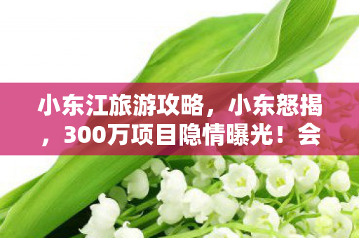 小东江旅游攻略,小东怒揭,300万项目隐情曝光!会议室拍桌真相,吓你一跳! 小东江旅游攻略,小东怒揭,300万项目隐情曝光!会议室拍桌真相,吓你一跳!
