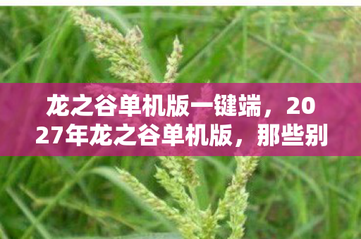 龙之谷单机版一键端,2027年龙之谷单机版,那些别走的伏笔,让我鼻子一酸 龙之谷单机版一键端,2027年龙之谷单机版,那些别走的伏笔,让我鼻子一酸