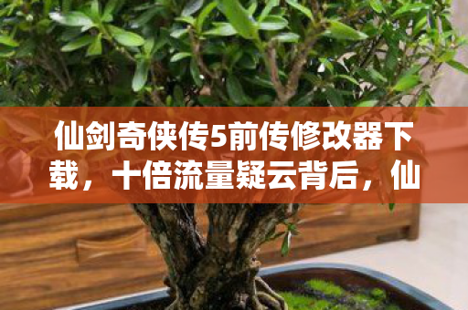 仙剑奇侠传5前传修改器下载，十倍流量疑云背后，仙剑5前传修改器引发的资本博弈心寒真相