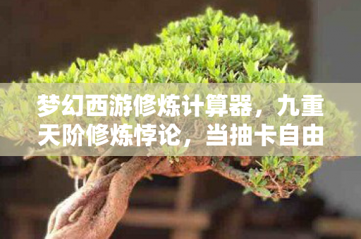 梦幻西游修炼计算器，九重天阶修炼悖论，当抽卡自由撞碎存在主义铁壁
