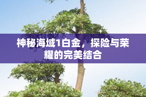 探险与荣耀的完美结合图片