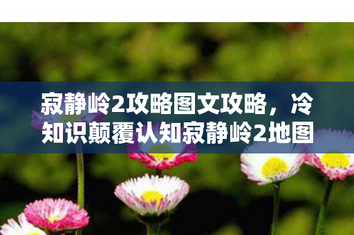 寂静岭2攻略图文攻略，冷知识颠覆认知寂静岭2地图竟藏听觉陷阱？99%玩家目瞪口呆的声学设计真相