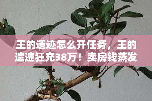 王的遗迹怎么开任务，王的遗迹狂充38万！卖房钱蒸发背后，老婆签协议时手都在抖！