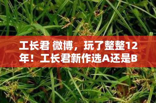 工长君 微博，玩了整整12年！工长君新作选A还是B？老玩家纠结到失眠
