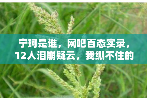 宁珂是谁,网吧百态实录,12人泪崩疑云,我绷不住的深夜忏悔 宁珂是谁,网吧百态实录,12人泪崩疑云,我绷不住的深夜忏悔