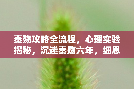 秦殇攻略全流程,心理实验揭秘,沉迷秦殇六年,细思极恐的自我麻醉之旅 秦殇攻略全流程,心理实验揭秘,沉迷秦殇六年,细思极恐的自我麻醉之旅