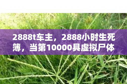 2888t车主,2888小时生死簿,当第10000具虚拟尸体倒下时,开发者在哭什么? 2888t车主,2888小时生死簿,当第10000具虚拟尸体倒下时,开发者在哭什么?