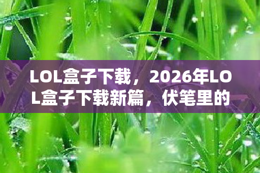 LOL盒子下载，2026年LOL盒子下载新篇，伏笔里的她，让我鼻子一酸