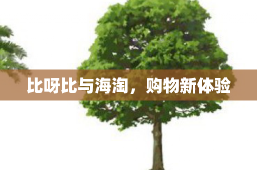 比呀比与海淘图片
