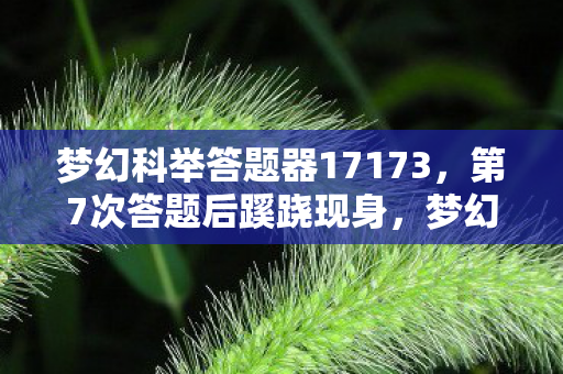 梦幻科举答题器17173，第7次答题后蹊跷现身，梦幻科举答题器竟让我后背发凉！