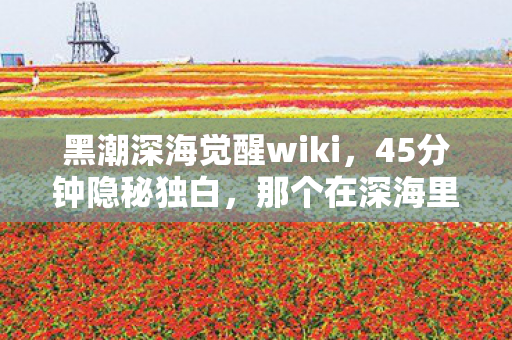 黑潮深海觉醒wiki,45分钟隐秘独白,那个在深海里哽咽着通关的夜晚 黑潮深海觉醒wiki,45分钟隐秘独白,那个在深海里哽咽着通关的夜晚