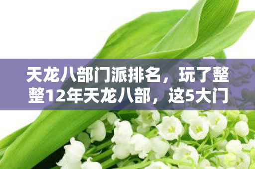 天龙八部门派排名,玩了整整12年天龙八部,这5大门派我该选谁续写江湖? 天龙八部门派排名,玩了整整12年天龙八部,这5大门派我该选谁续写江湖?