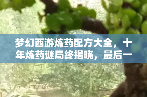 梦幻西游炼药配方大全,十年炼药谜局终揭晓,最后一刻泪目成永恒 梦幻西游炼药配方大全,十年炼药谜局终揭晓,最后一刻泪目成永恒