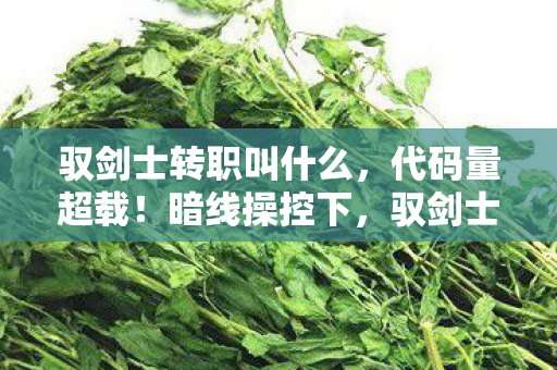 驭剑士转职叫什么,代码量超载!暗线操控下,驭剑士的每招都让人头皮发麻 驭剑士转职叫什么,代码量超载!暗线操控下,驭剑士的每招都让人头皮发麻