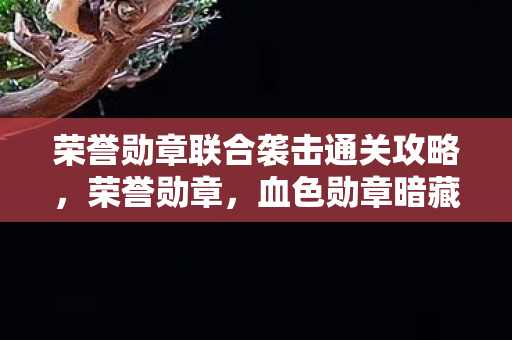 荣誉勋章联合袭击通关攻略，荣誉勋章，血色勋章暗藏悬案，毛骨悚然线索直指2027年未解之谜
