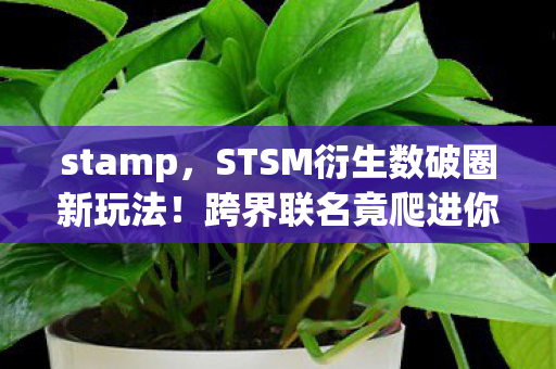 stamp,STSM衍生数破圈新玩法!跨界联名竟爬进你妈手机壳,意想不到! stamp,STSM衍生数破圈新玩法!跨界联名竟爬进你妈手机壳,意想不到!