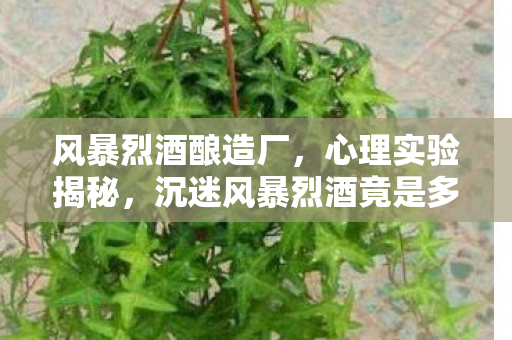 风暴烈酒酿造厂,心理实验揭秘,沉迷风暴烈酒竟是多巴胺的细思极恐陷阱 风暴烈酒酿造厂,心理实验揭秘,沉迷风暴烈酒竟是多巴胺的细思极恐陷阱