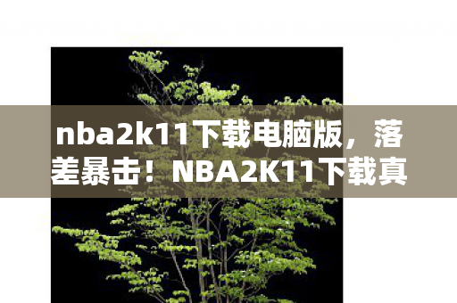 nba2k11下载电脑版，落差暴击！NBA2K11下载真相，笑着骂它画质像马赛克，笑着笑着就哭了