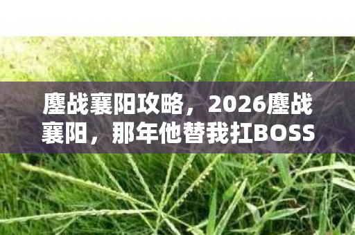 鏖战襄阳攻略，2026鏖战襄阳，那年他替我扛BOSS的背影，如今鼻子一酸只剩灰名