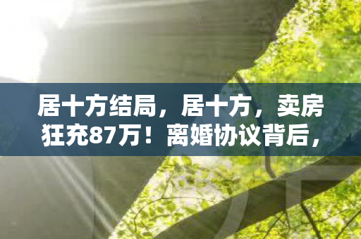 居十方结局，居十方，卖房狂充87万！离婚协议背后，惊爆游戏成瘾隐情！
