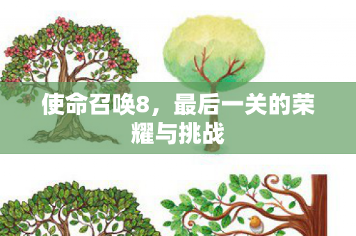 最后一关的荣耀与挑战图片